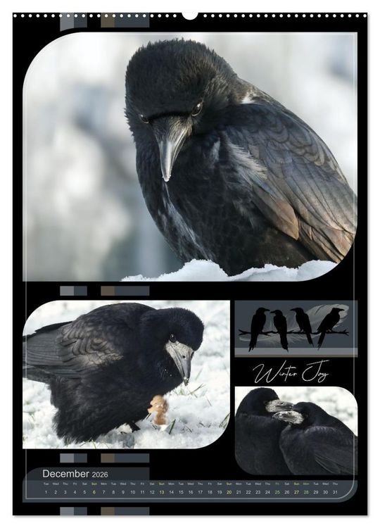 Produktbild: Crows - Through the Seasons (High Quality Premium Wall Calendar 2026 DIN A2 portrait),CALVENDO 12 Month Wall Calendar