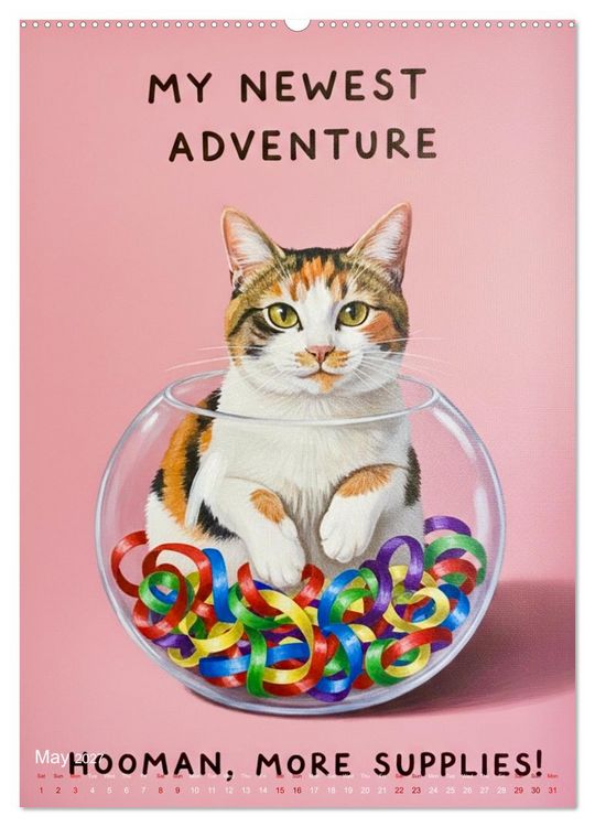 Produktbild: CATitude A YEAR OF CAT LIFE (Wall Calendar 2027 DIN A2 portrait), CALVENDO 12 Month Wall Calendar
