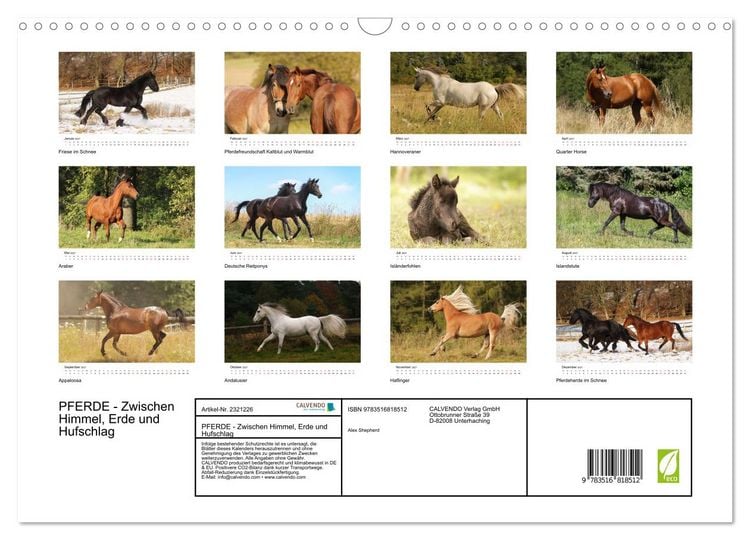 Produktbild: PFERDE - Zwischen Himmel, Erde und Hufschlag (Wandkalender 2027 DIN A3 quer), CALVENDO Monatskalender