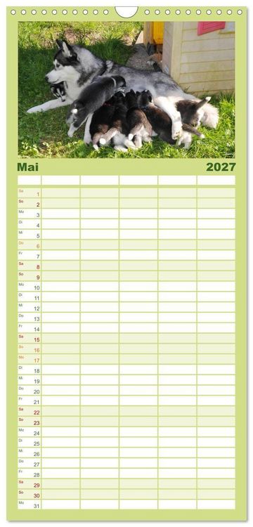 Produktbild: Familienplaner 2027 - Husky Welpen mit 5 Spalten (Wandkalender, 21 x 45 cm) CALVENDO