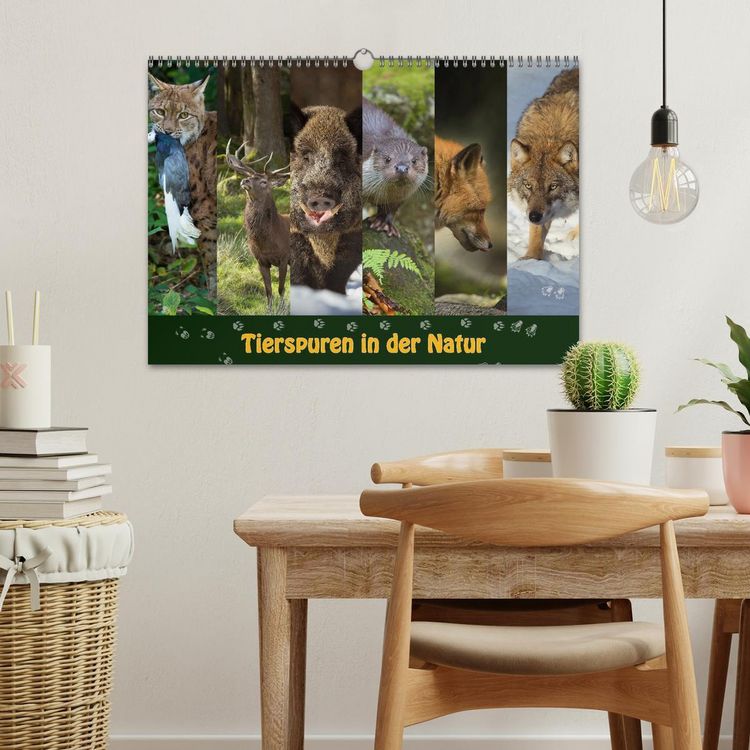 Produktbild: Tierspuren in der Natur (Wandkalender 2026 DIN A3 quer), CALVENDO Monatskalender