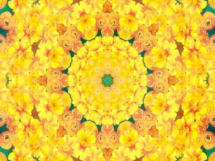 Produktbild: CALVENDO Puzzle Gelbe Energie | 1000 Teile Lege-Gr&ouml;&szlig;e 64x48cm Foto-Puzzle f&uuml;r gl&uuml;ckliche Stunden