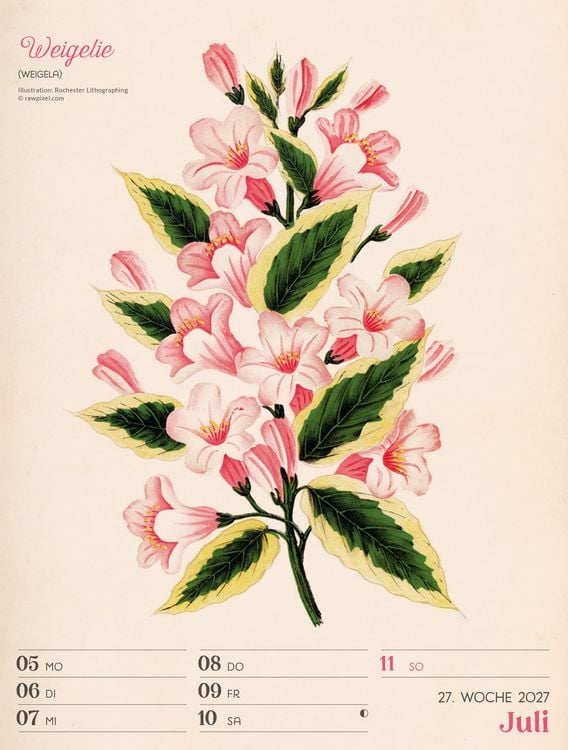 Produktbild: Ars Floralis Wochenplaner Kalender 2027