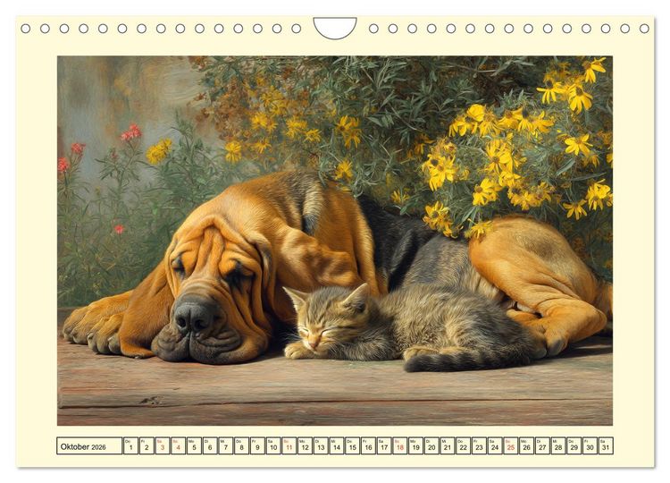 Produktbild: Bloodhound Momente. Zielstrebige Schn&uuml;ffler mit treuer Seele (Wandkalender 2026 DIN A4 quer), CALVENDO Monatskalender