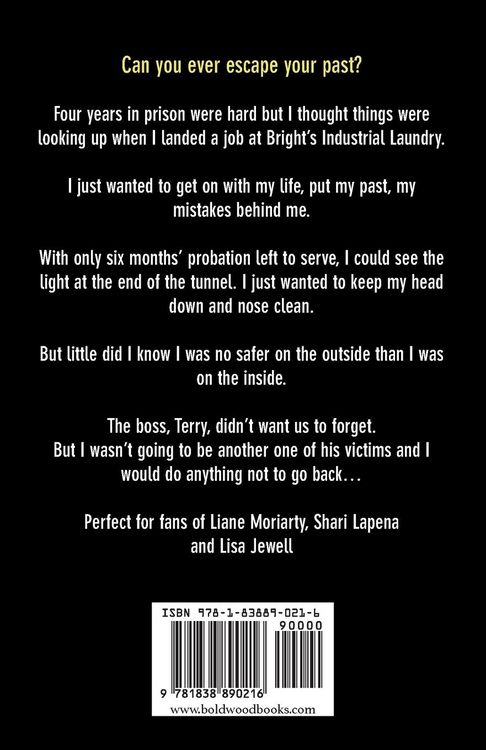 Produktbild: The Mistake