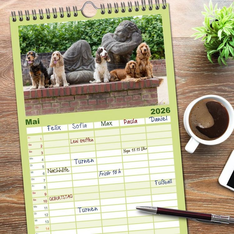 Produktbild: Familienplaner 2026 - English Cocker Spaniels - Ein Spaziergang im Park mit 5 Spalten (Wandkalender, 21 x 45 cm) CALVENDO