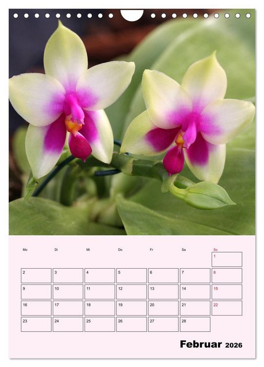 Produktbild: Orchideenliebe (Wandkalender 2026 DIN A4 hoch), CALVENDO Monatskalender
