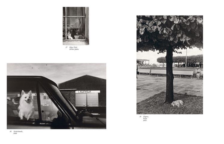 Produktbild: Sibylle Bergemann