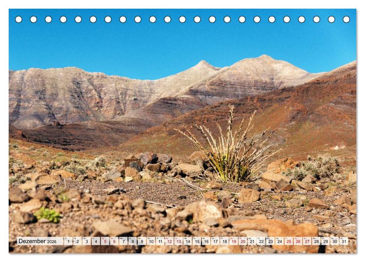 Produktbild: Fuerteventura Sand und bunte Farben (Tischkalender 2026 DIN A5 quer), CALVENDO Monatskalender