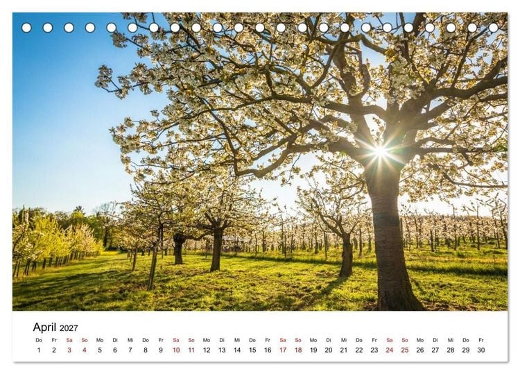 Produktbild: Wiesbadener Impressionen (Tischkalender 2027 DIN A5 quer), CALVENDO Monatskalender