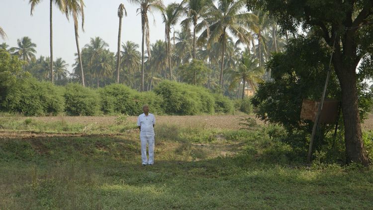 Produktbild: Der Doktor aus Indien