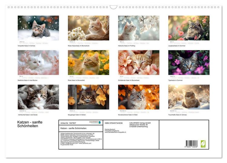 Produktbild: Katzen - sanfte Sch&ouml;nheiten (Wandkalender 2026 DIN A2 quer), CALVENDO Monatskalender