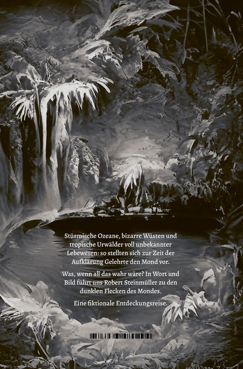 Produktbild: Die Meere des Mondes