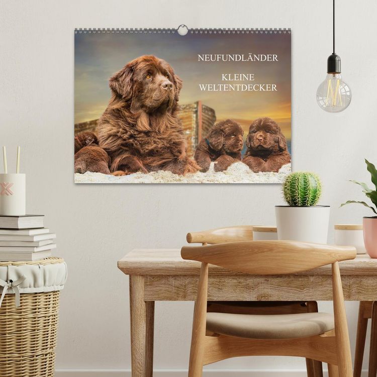 Produktbild: Neufundl&auml;nder - Kleine Weltentdecker (Wandkalender 2026 DIN A3 quer), CALVENDO Monatskalender