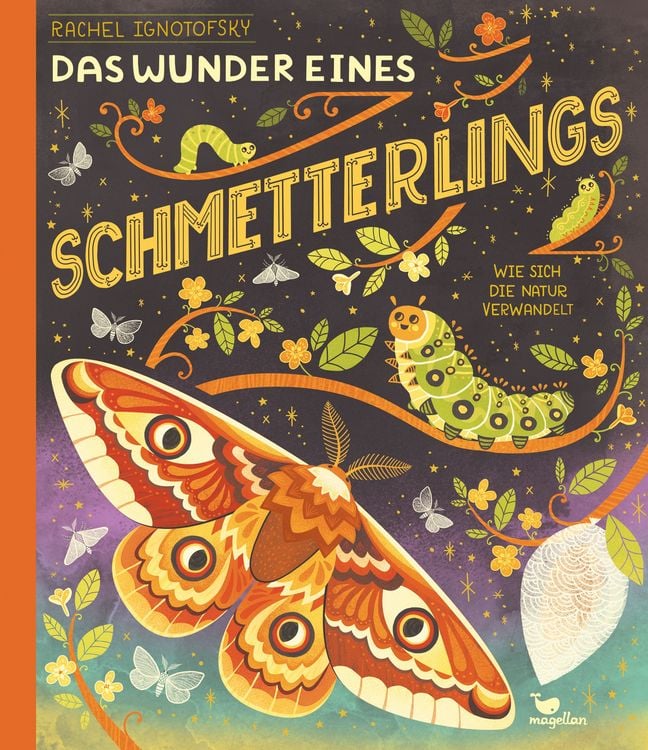 Produktbild: Das Wunder eines Schmetterlings