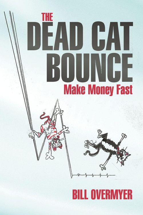 Produktbild: The Dead Cat Bounce