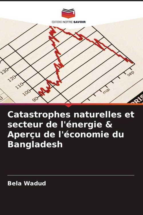 Produktbild: Catastrophes naturelles et secteur de l'&eacute;nergie & Aper&ccedil;u de l'&eacute;conomie du Bangladesh