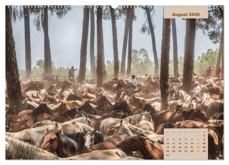 Produktbild: Pferde - Andalusiens wilder Westen (Wandkalender 2026 DIN A2 quer), CALVENDO Monatskalender