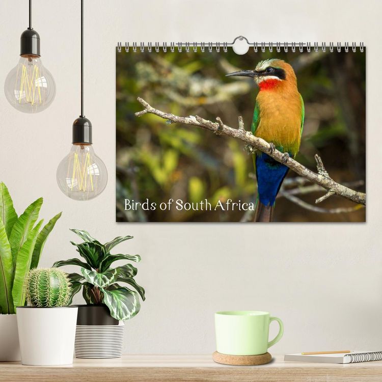 Produktbild: Birds of South Africa (Wall Calendar 2026 DIN A4 landscape), CALVENDO 12 Month Wall Calendar