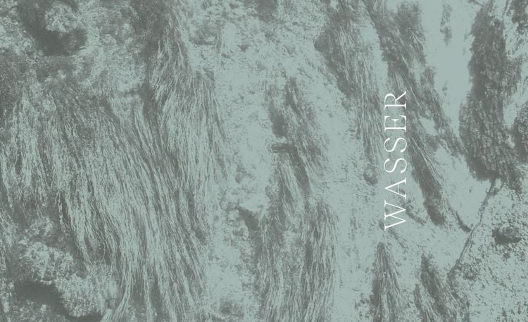 Produktbild: Wilder Wald