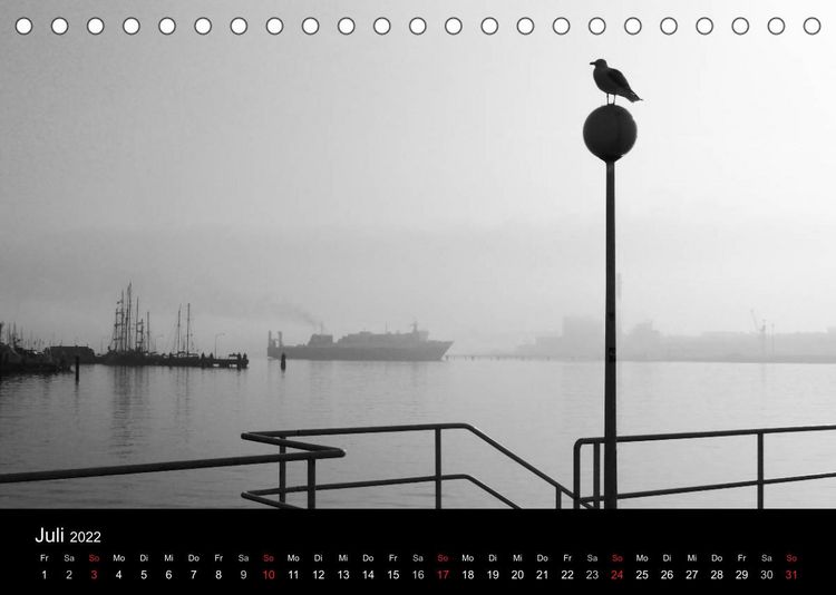 Produktbild: Kieler V&ouml;gel (Tischkalender 2022 DIN A5 quer)