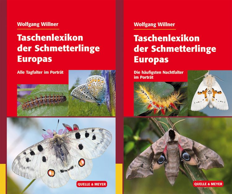 Produktbild: Taschenlexikon der Schmetterlinge Europas