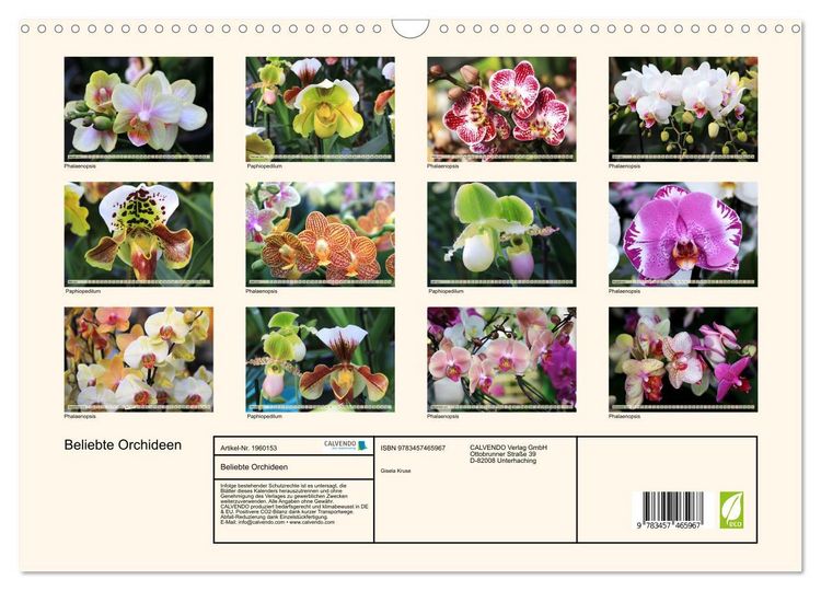 Produktbild: Beliebte Orchideen (Wandkalender 2026 DIN A3 quer), CALVENDO Monatskalender