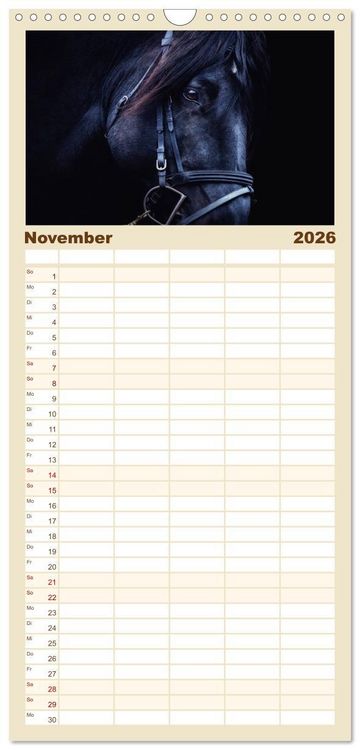 Produktbild: Familienplaner 2026 - Pferde - kraftvolle Eleganz mit 5 Spalten (Wandkalender, 21 x 45 cm) CALVENDO