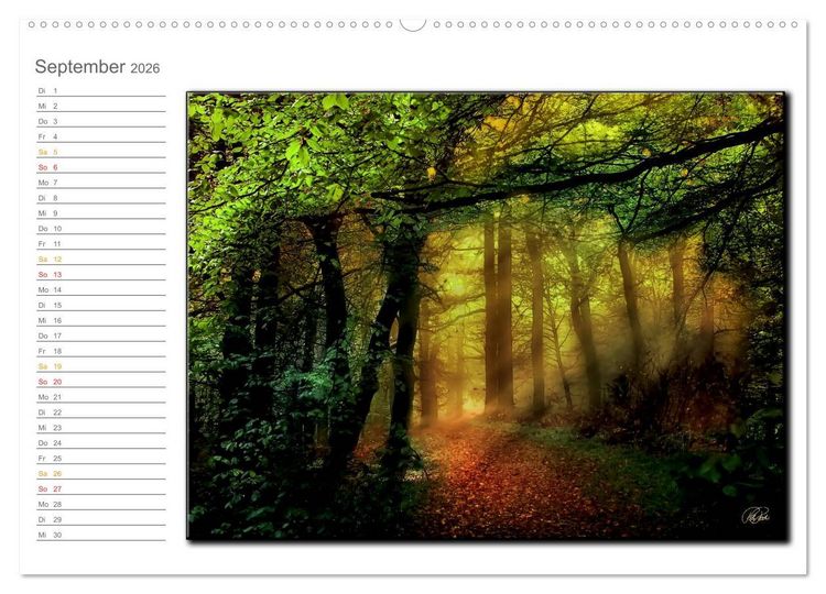 Produktbild: Der Neuenburger Urwald (hochwertiger Premium Wandkalender 2026 DIN A2 quer), Kunstdruck in Hochglanz