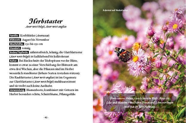 Produktbild: Das kleine Buch: Mein Garten für Bienen & Schmetterlinge