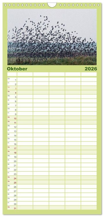 Produktbild: Familienplaner 2026 - Die Insel R&ouml;m&ouml; mit 5 Spalten (Wandkalender, 21 x 45 cm) CALVENDO