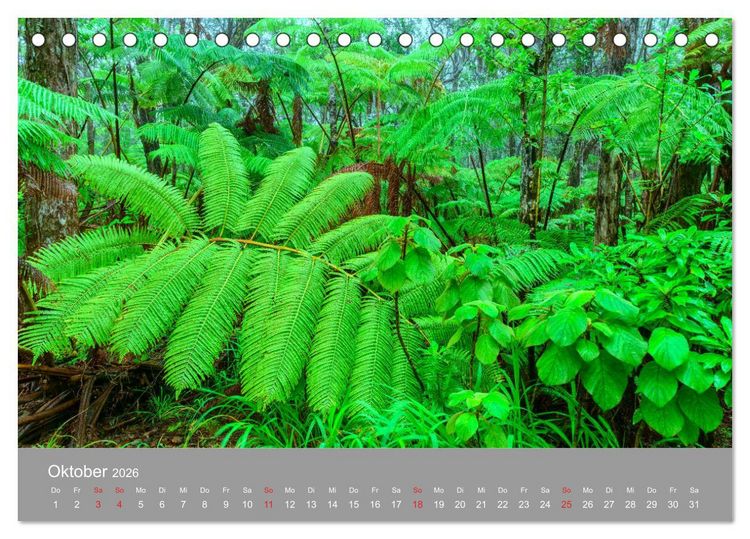 Produktbild: SPIRIT OF HAWAII (Tischkalender 2026 DIN A5 quer), CALVENDO Monatskalender