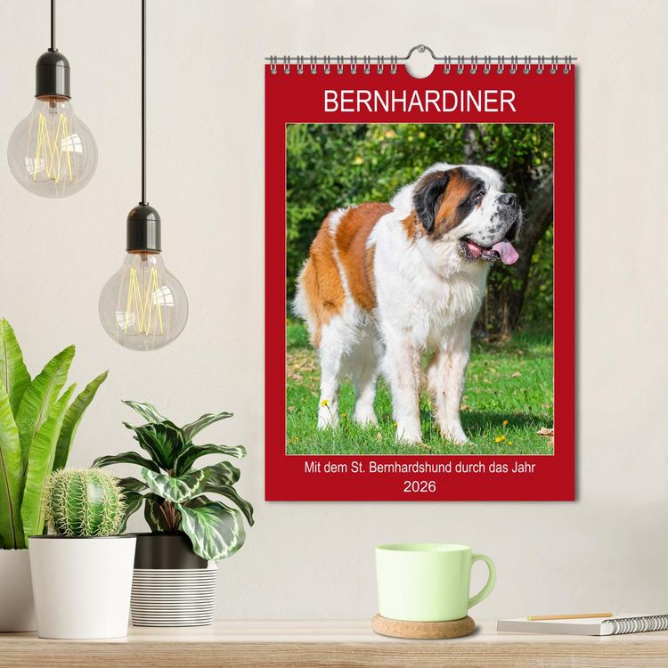 Produktbild: Bernhardiner - Mit dem St. Bernhardshund durch das Jahr (Wandkalender 2026 DIN A4 hoch), CALVENDO Monatskalender