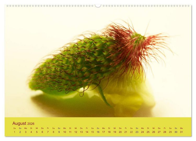 Produktbild: Fantastische Reise in die Welt der Blumen (Wandkalender 2026 DIN A2 quer), CALVENDO Monatskalender