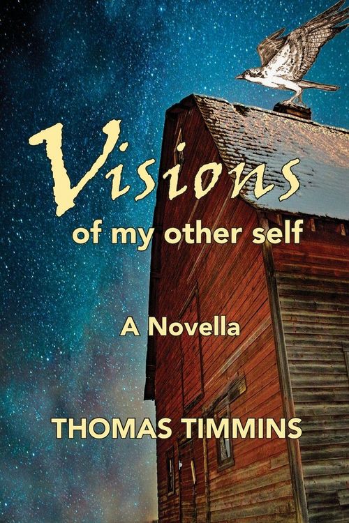 Produktbild: Visions of my Other Self