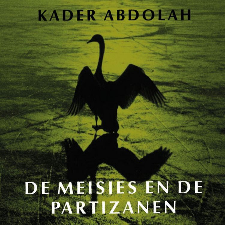 Produktbild: De meisjes en de partizanen