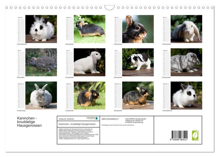 Produktbild: Kaninchen - knuddelige Hausgenossen (Wandkalender 2027 DIN A3 quer), CALVENDO Monatskalender