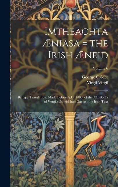 Produktbild: Imtheachta &AElig;niasa = the Irish &AElig;neid
