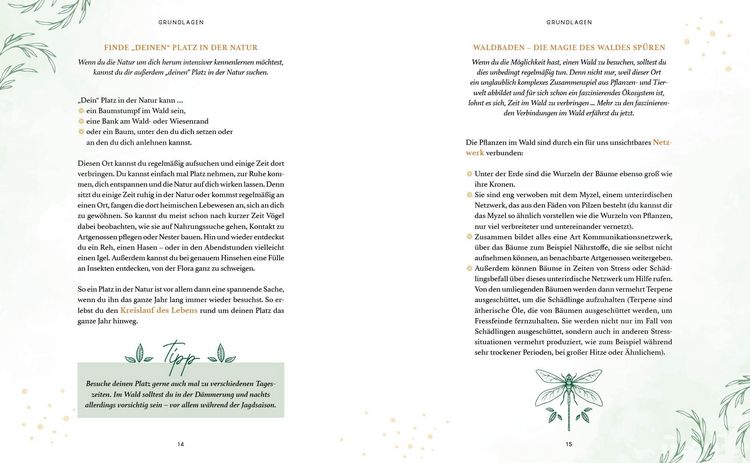 Produktbild: Zaubernuss und Waldmagie – Naturmomente für deine Seele