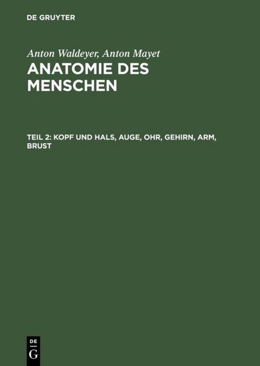 Produktbild: Kopf und Hals, Auge, Ohr, Gehirn, Arm, Brust