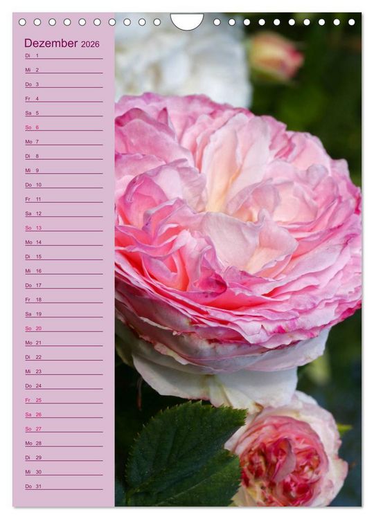 Produktbild: Rosen Symphonie (Wandkalender 2026 DIN A4 hoch), CALVENDO Monatskalender