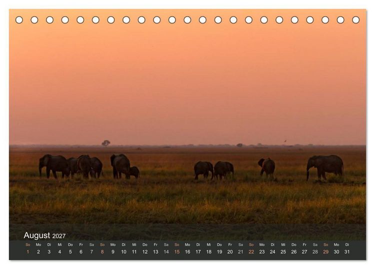 Produktbild: Elefanten (Tischkalender 2027 DIN A5 quer), CALVENDO Monatskalender