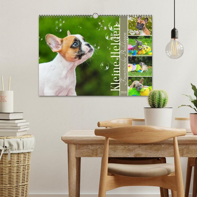 Produktbild: Kleine Helden - Franz&ouml;sische Bulldoggen (Wandkalender 2026 DIN A3 quer), CALVENDO Monatskalender