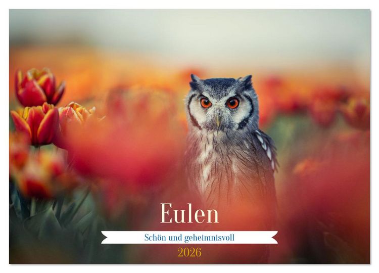 Produktbild: Eulen - sch&ouml;n und geheimnisvoll (Wandkalender 2026 DIN A2 quer), CALVENDO Monatskalender