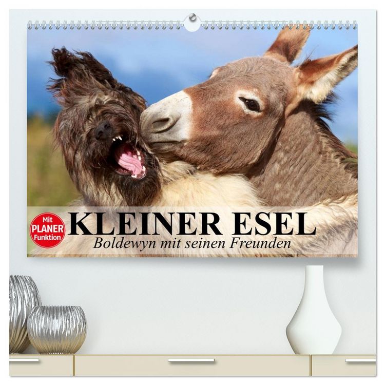 Produktbild: Kleiner Esel. Boldewyn mit seinen Freunden (hochwertiger Premium Wandkalender 2026 DIN A2 quer), Kunstdruck in Hochglanz