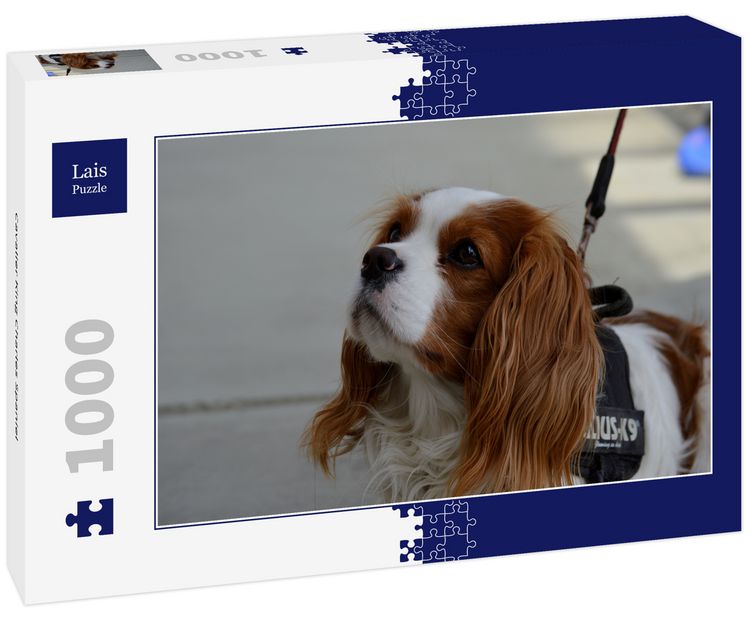 Produktbild: Lais Puzzle Cavalier King Charles Spaniel 1000 Teile
