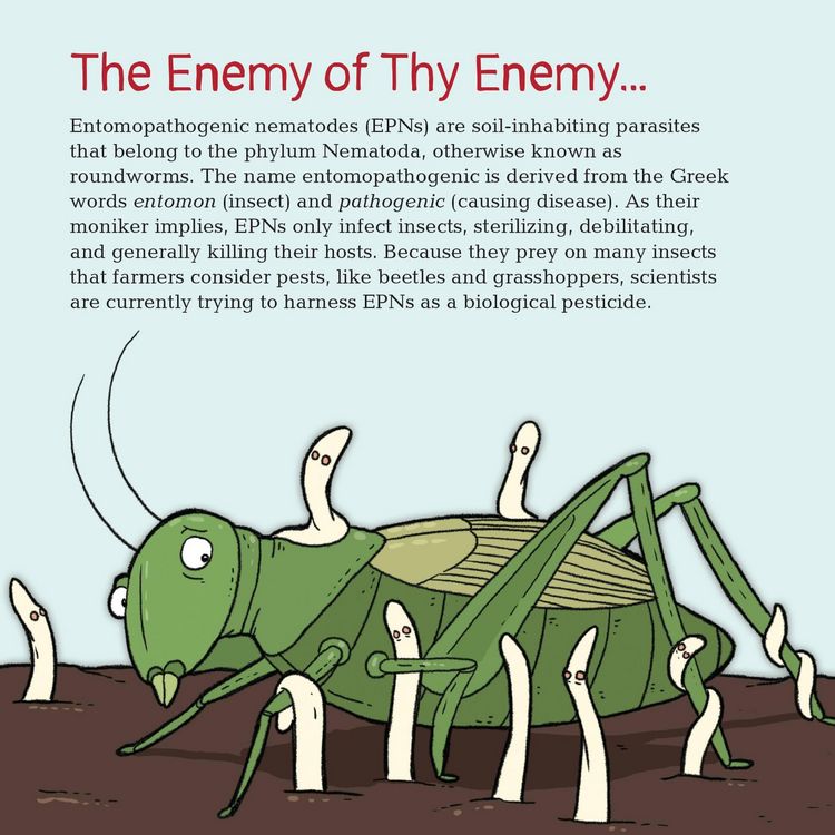 Produktbild: The Very Hungry Parasite