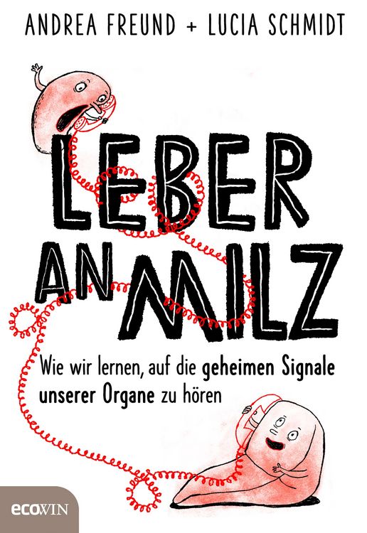 Produktbild: Leber an Milz