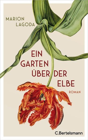 Produktbild: Ein Garten über der Elbe