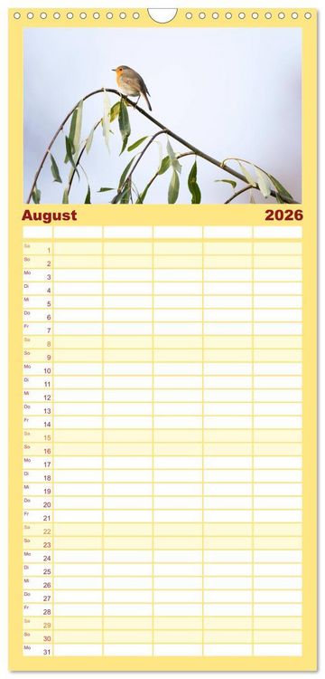 Produktbild: Familienplaner 2026 - Geliebtes Rotkehlchen mit 5 Spalten (Wandkalender, 21 x 45 cm) CALVENDO